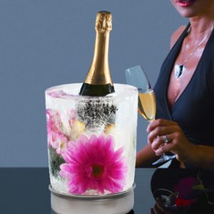Fiocco - Secchiello di Ghiaccio - Cestello Ghiaccio per Vino e Champagne -  IcedWorld